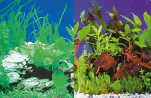 Hobby Tło akwariowe dwustronne 30cm/25m - wzór 100