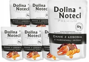 Dolina Noteci Danie z łososia z marchewką 10x300g