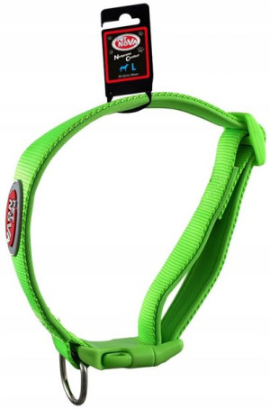 Pet Nova Obroża nylonowa L 2cm 28-45cm zielona