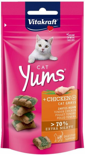 Vitakraft CAT YUMS 40g kura trawa