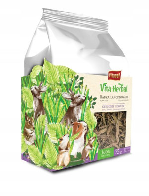 Vita Herbal Babka Lancetowata dla gryzoni 75g