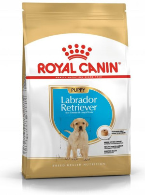 Royal Labrador Retriever Puppy 3kg