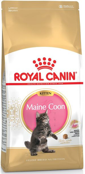 Royal Maine Coon Kitten 400g