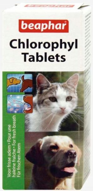 Beaphar Tabletki z chlorofilem dla psów i kotów