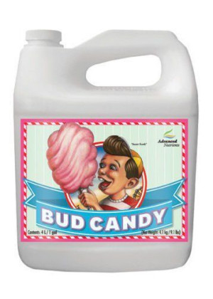 Advanced Nutrients BUD CANDY 10L | silny magnez