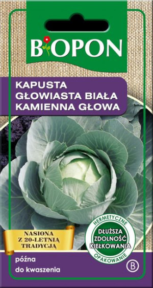 Kapusta Biała Kamienna Głowa Biopon Nasiona
