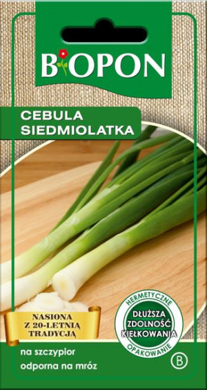 Cebula Siedmiolatka Biopon Nasiona