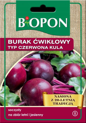 Burak Ćwikłowy Typu Kula Biopon Nasiona