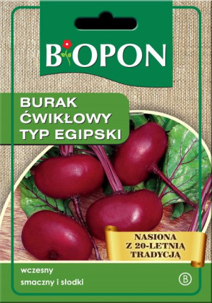 Burak Ćwikłowy Typu Egipski Biopon Nasiona