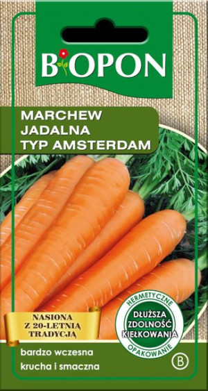 Marchew Amsterdam Biopon Nasiona