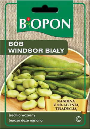 Bób Windson Biały Biopon Nasiona