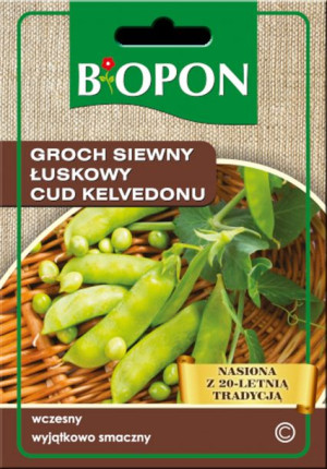 Groch Siewny Łuskowy Cud Kelvedonu Biopon Nasiona