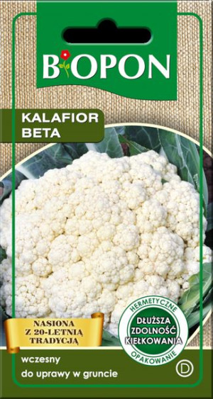 Kalafior Beta Biopon Nasiona