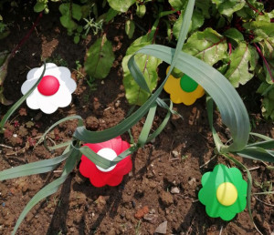 Pułapka Na Ślimaki 10x4 Cm/4 Szt. Do Aplikacji Środka,kwiatki