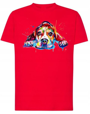 T-Shirt koszulka fajny nadruk Beagle r.XS