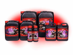 Shogun Samurai Coco A/b 2*1l