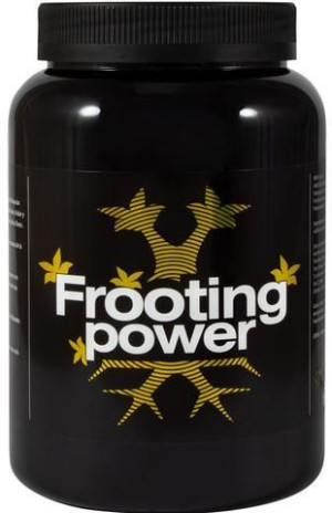 BAC Frooting Power 1kg - nawóz na końcową fazę kwitnienia