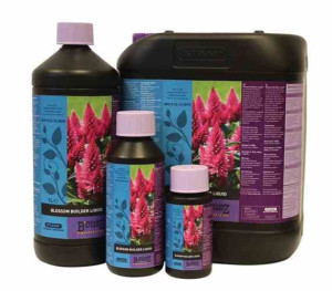 Atami B'cuzz Blossom Builder 1l