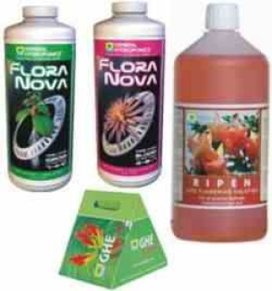 Ghe Zestaw Tripack Flora Nova