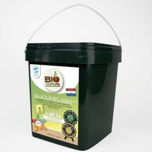 BIOTABS Silicium Flash 2500ml | 1500gr - nawóz organiczny