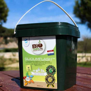 Biotabs Silicium Flash 9l