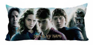 Duża Poduszka Harry Potter + Imię Gratis 30x60 N10