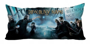 Duża Poduszka Harry Potter + Imię Gratis 30x60 N4