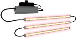 Grow The Jungle The Brookes 3x 35W (105W) Linear Lampa listwa LED Grow