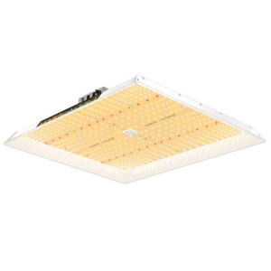 Mars Hydro TSW 2000 300W Lampa Led Grow *NOWY MODEL*