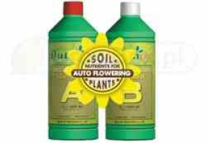 Dutchpro Auto Flowering Soil Bloom A/b 2*1l