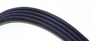 Dayco 5pk955 Pasek Klinowy Wielorowkowy