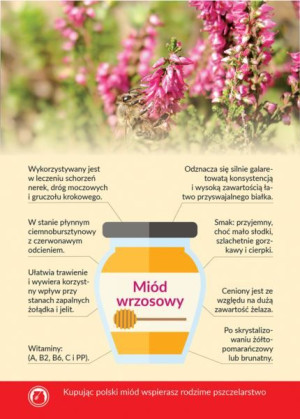 Karta informacyjna A4 "Miód wrzosowy" (1 szt) - wzór KI7