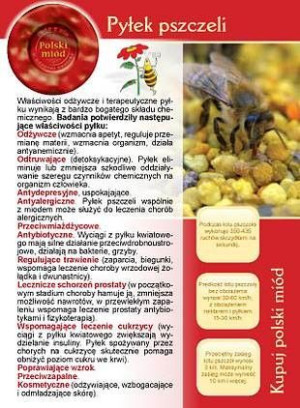 Broszurka informacyjna pyłek pszczeli (20szt) - wzór U9