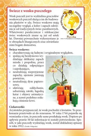 Paczka ulotek pocztówkowych "Świece woskowe" (20szt) - wzór U66