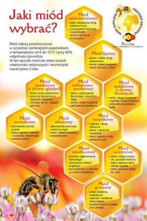 Paczka ulotek informacyjnych "Jaki miód wybrać" (20szt) - wzór U71