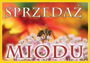 Duża tablica reklamowa - wzór F318