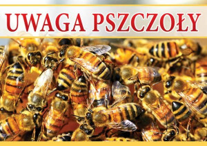Duża tablica ostrzegawcza - wzór F346