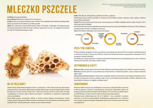 Duża tablica edukacyjna MLECZKO PSZCZELE - wzór F353
