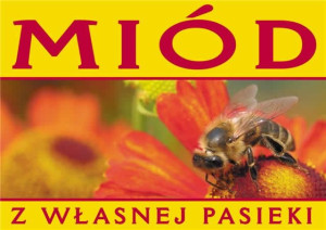 Średnia tablica reklamowa - wzór F202
