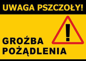 Średnia tablica ostrzegawcza - wzór F231