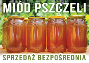 Średnia tablica reklamowa - wzór F232
