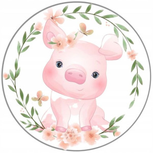 Opłatek Na Tort Okrągły 20 Cm Baby Shower Roczek
