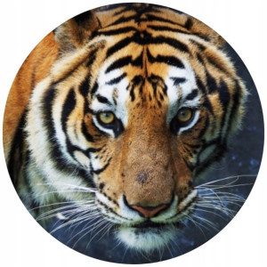Opłatek Na Tort Okrągły 20 Cm Tygrys Urodziny Zoo