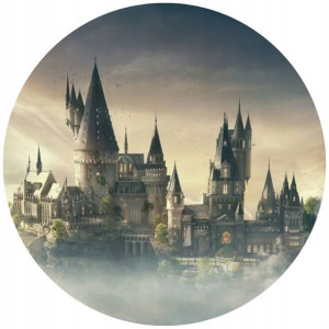 Opłatek Na Tort Okrągły 20 Cm Harry Potter Gratis