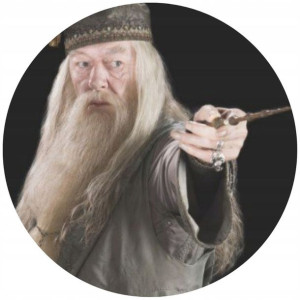 Opłatek Na Tort Okrągły 20 Cm Harry Potter Gratis