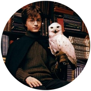Opłatek Na Tort 20cm Harry Potter Twój Napis Sowa