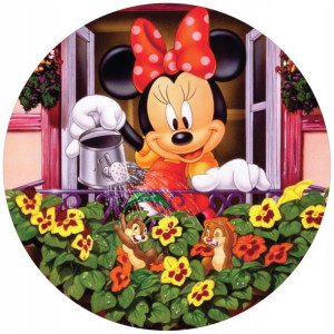 Opłatek Na Tort 20cm Myszka Minnie Twój Napis Imię