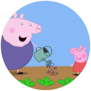 Opłatek Na Tort 20cm Świnka Peppa Twój Napis Pig