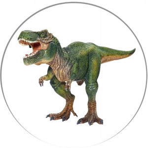 Opłatek Na Tort 20cm Dinozaury Twój Napis Imię