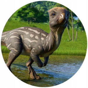 Opłatek Na Tort 20cm Dinozaury Twój Napis Imię